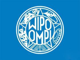 马德里商标 马德里商标